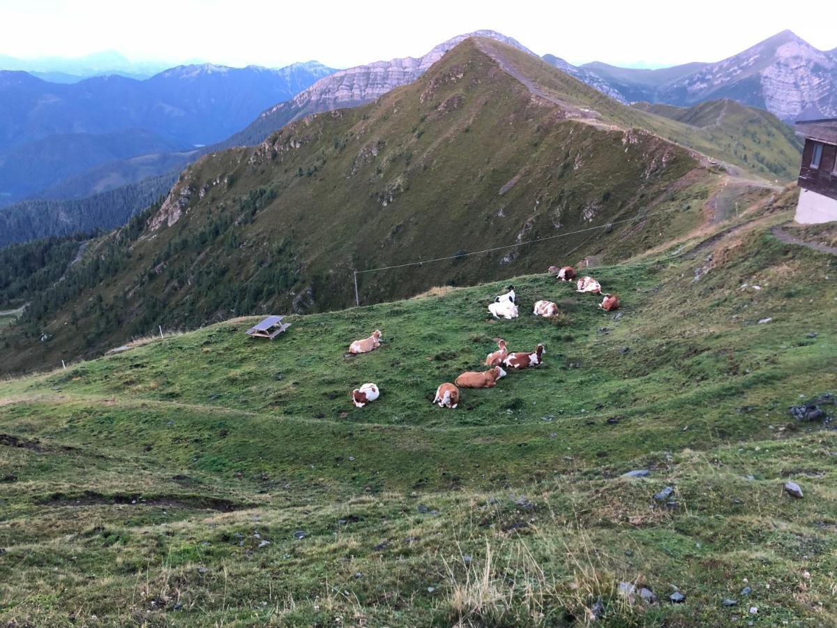 Апартаменты Haus Mup Шпитталь-ан-дер-Драу Экстерьер фото